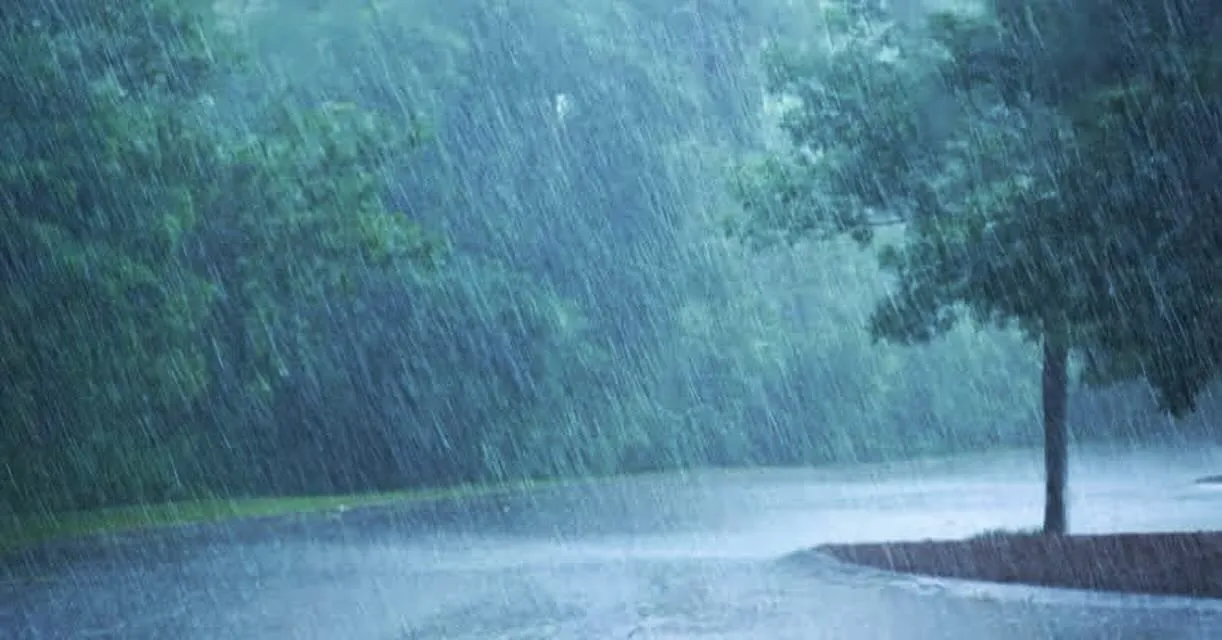 雨の日は頭痛、肩こり、腰痛が出やすい。